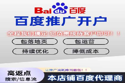 百度竞价包年推广的典型案例与效果展示